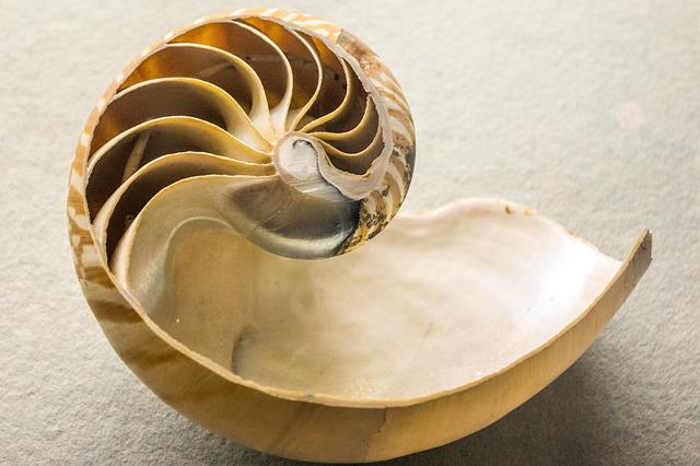 nautilus erweitern