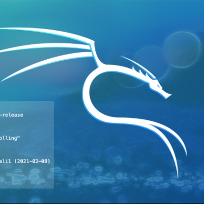 kali linux 2021.1 erschienen