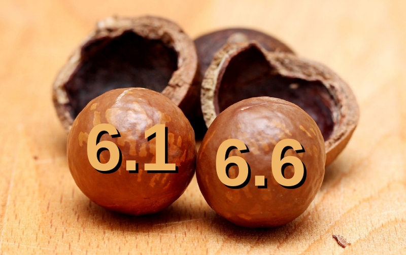 linux kernel 6.6 wird lts
