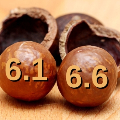 linux kernel 6.6 wird lts