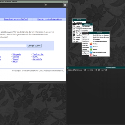 fvwm: desktop für profis