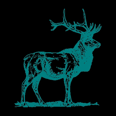schnelle hilfe mit tealdeer