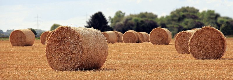 gründe für rolling releases