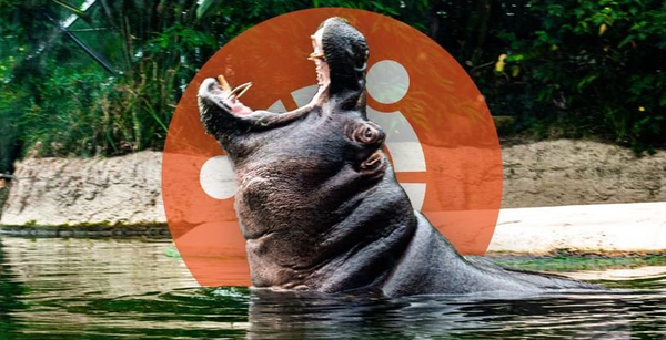 ubuntu 21.04 ohne gnome 40 und gtk 4.0