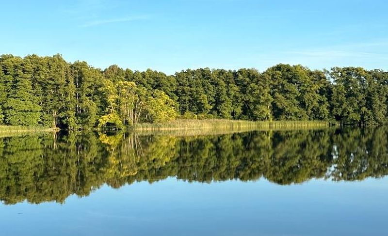 der sommer war schön