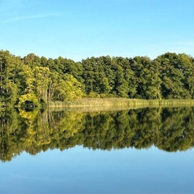 der sommer war schön
