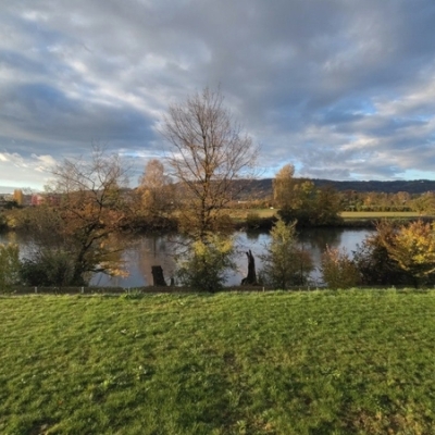 fotos mit dem fairphone 5