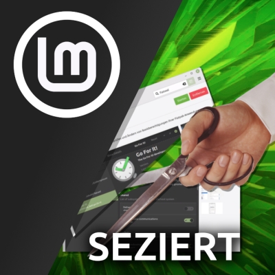 wie kommen eigentlich die screenshots in die mint-anwendungsverwaltung?