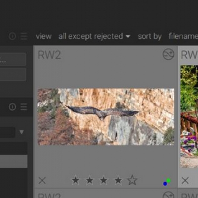 darktable in version 3.2.1 erschienen