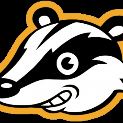 privacy badger deaktiviert local learning standardmässig