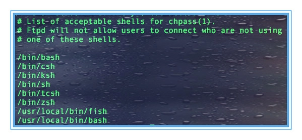 manjaro wechselt default shell