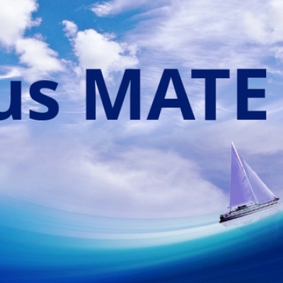 solus mate - was taugt die distro?