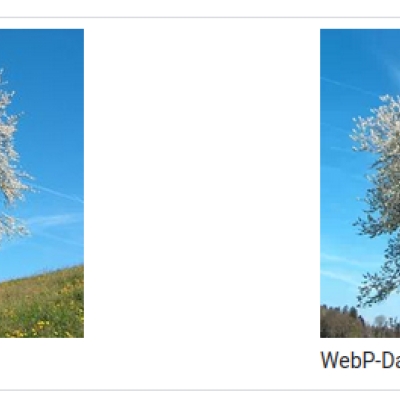 webp: das bessere jpg