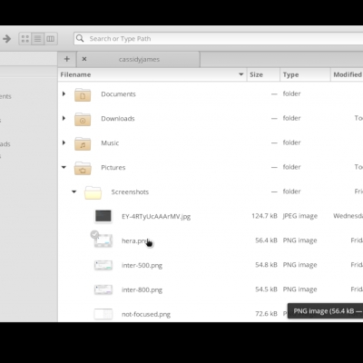 elementary os erlaubt updates ohne passworteingabe