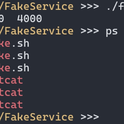 fake-service: ein selbst erdachtes/gemachtes sicherheitskonzept