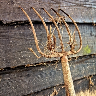 audacity fork