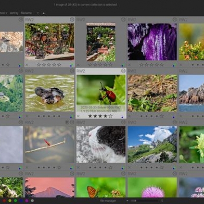 darktable 3.8.1 erschienen
