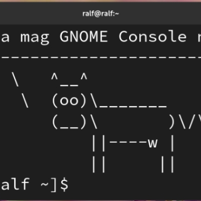 fedora mag die gnome-console nicht