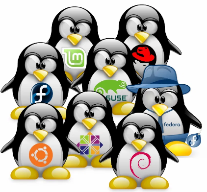 der linux-kumpel