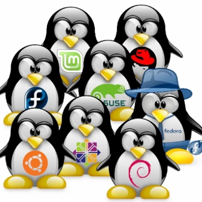 der linux-kumpel