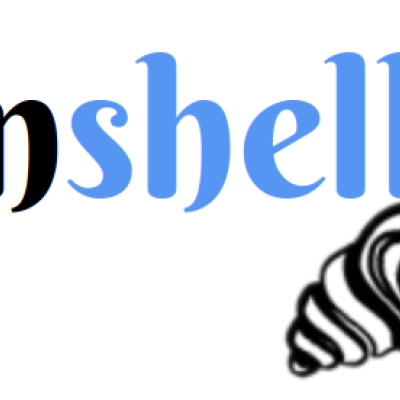 shell befehle verstehen mit explainshell