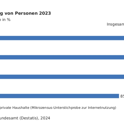 zum wochenende: wie viele leute nutzen das internet?