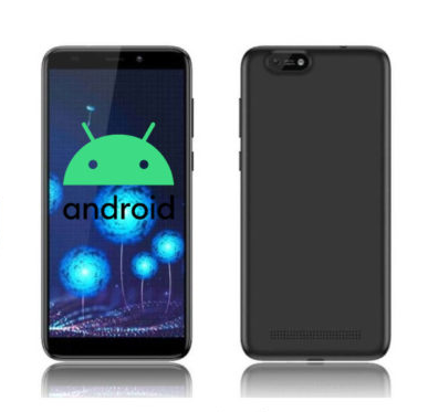 glodroid bringt android 10 auf das pinephone