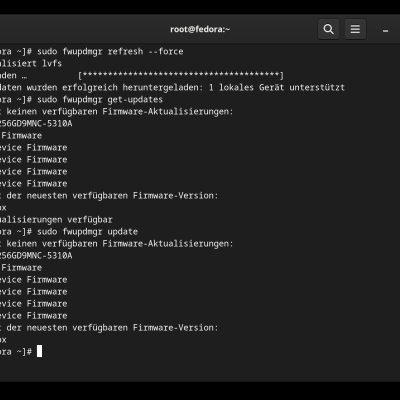 firmware aktualisieren mit fwupdmgr