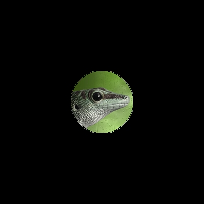 geckolinux mit einigen neuerungen erschienen