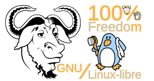 gnu/linux-libre kernel in version 5.8 erschienen