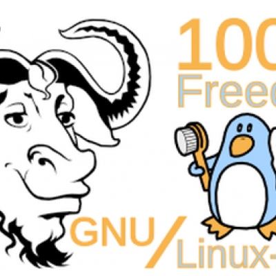 gnu/linux-libre kernel in version 5.8 erschienen