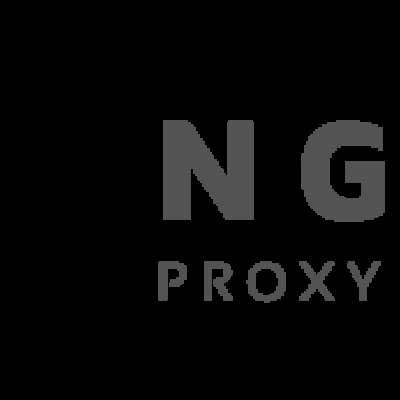 nginx proxy manager