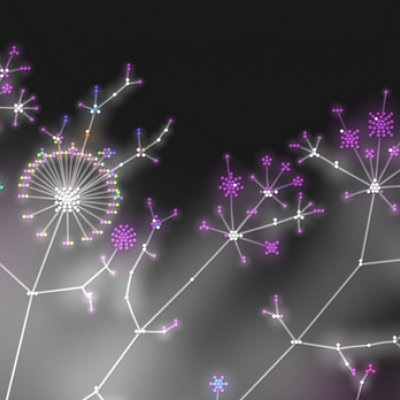 visualisiere dein repo mit gource