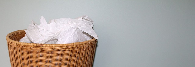 pastebin: in den müll