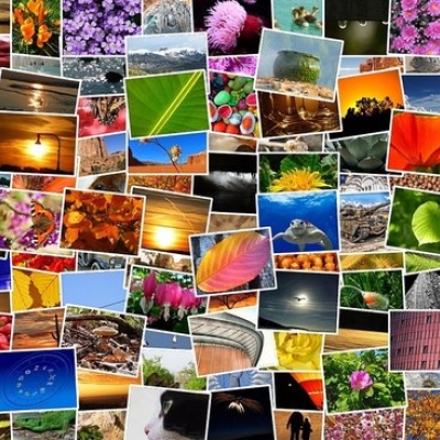 fotomat