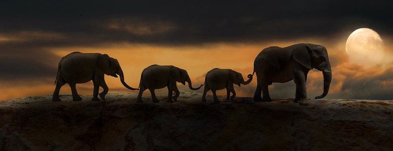 mastodon-konto umziehen