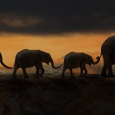 mastodon-konto umziehen