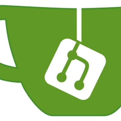 github repositorys zum selbst gehostetem gitea spiegeln