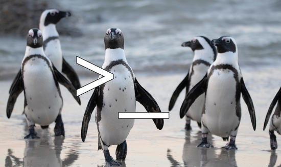 kostenloser online-kurs „linux in der kommandozeile“