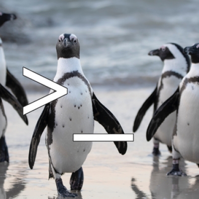kostenloser online-kurs „linux in der kommandozeile“