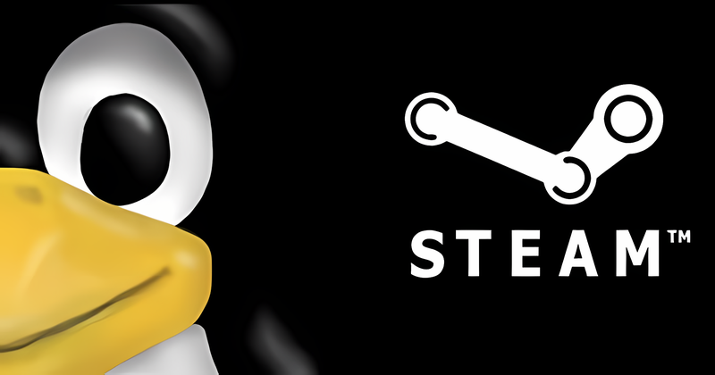 steam client update