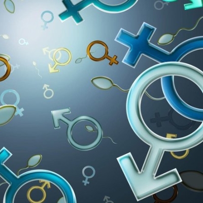 zum wochenende: gendern