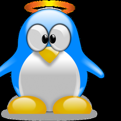 serie: einsteigerlinux - die kriterien