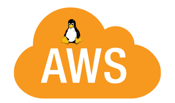 amazon linux 2022