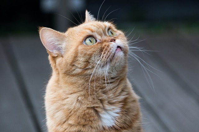 zum wochenende: attention please!
