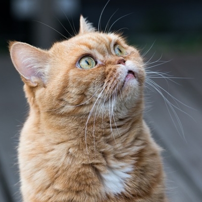 zum wochenende: attention please!