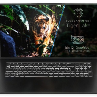 review: tuxedo infinitybook s17