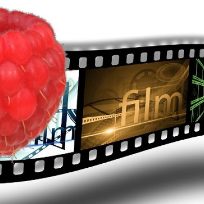 videos im browser auf dem raspi 4 schauen
